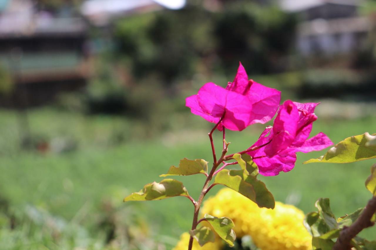 Hotel Zion White House Nuwara Eliya Exterior foto